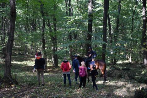 Concert în pădure: Sute de bihoreni, spectatori în pădurea care a „cântat”, în Băile 1 Mai (FOTO / VIDEO)