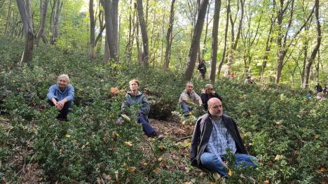 Concert în pădure: Sute de bihoreni, spectatori în pădurea care a „cântat”, în Băile 1 Mai (FOTO / VIDEO)