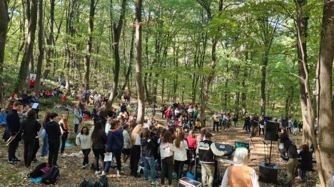 Concert în pădure: Sute de bihoreni, spectatori în pădurea care a „cântat”, în Băile 1 Mai (FOTO / VIDEO)