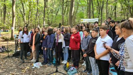 Concert în pădure: Sute de bihoreni, spectatori în pădurea care a „cântat”, în Băile 1 Mai (FOTO / VIDEO)