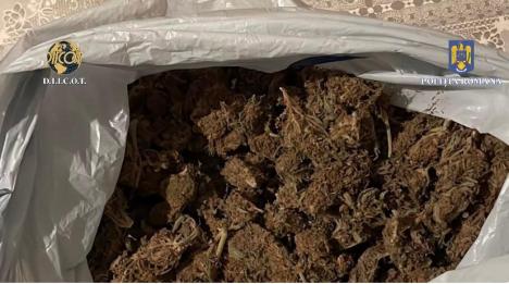 Doi tineri din Bihor au fost prinşi cu 1 kilogram de cannabis 'importat' din Spania cu... autocarul (FOTO)