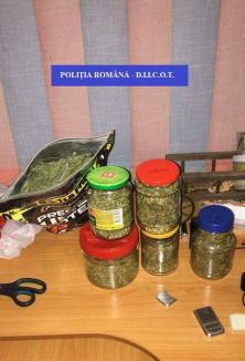 Procurorii Antidrog au descins la Curăţele: Aproape 1 kilogram de cannabis a fost descoperit în casa unui localnic (FOTO)