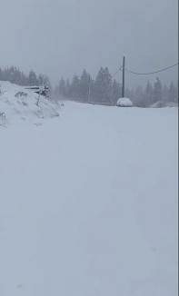 Turiști blocați în Padiș, din cauza ninsorii: „Așteptăm mașinile de deszăpezit, până atunci ne bucurăm de zăpadă” (FOTO/VIDEO)