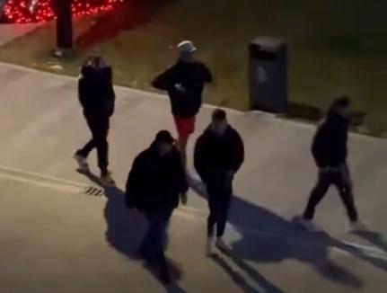 Spectacol obscen în Târgul de Crăciun din Beiuş: 5 tineri care au mimat sexul cu renii ornamentali, iar unul a și urinat lângă drapelul naţional s-au ales cu amenzi usturătoare (VIDEO)