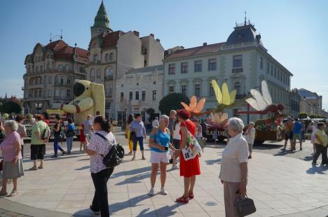 Care alegorice cu libelule, zâne, un astronaut și o vioară, „împletite” din mii de flori, au ajuns în Piaţa Unirii din Oradea (FOTO/VIDEO)