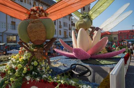 Care alegorice cu libelule, zâne, un astronaut și o vioară, „împletite” din mii de flori, au ajuns în Piaţa Unirii din Oradea (FOTO/VIDEO)