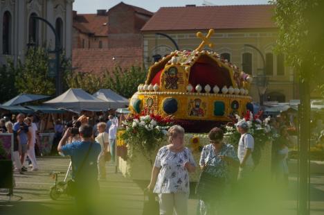 Care alegorice cu libelule, zâne, un astronaut și o vioară, „împletite” din mii de flori, au ajuns în Piaţa Unirii din Oradea (FOTO/VIDEO)