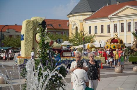 Care alegorice cu libelule, zâne, un astronaut și o vioară, „împletite” din mii de flori, au ajuns în Piaţa Unirii din Oradea (FOTO/VIDEO)