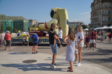 Care alegorice cu libelule, zâne, un astronaut și o vioară, „împletite” din mii de flori, au ajuns în Piaţa Unirii din Oradea (FOTO/VIDEO)