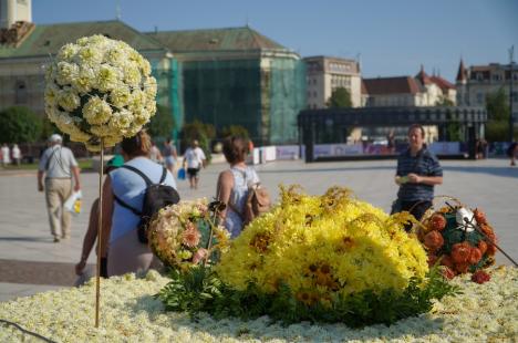 Care alegorice cu libelule, zâne, un astronaut și o vioară, „împletite” din mii de flori, au ajuns în Piaţa Unirii din Oradea (FOTO/VIDEO)