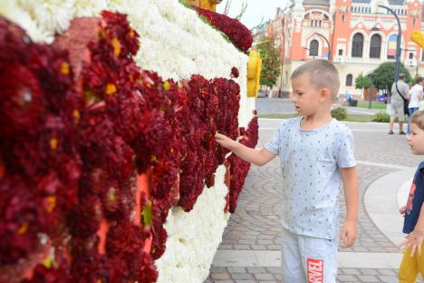 Carele alegorice din flori atrag admiratori în Piaţa Unirii. Vezi programul Zilelor Culturii Maghiare! (FOTO / VIDEO)