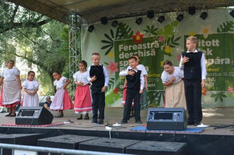 Fereastră spre Europa: Spectacol de muzică populară română şi maghiară în lunca Crişului Repede (FOTO/VIDEO)