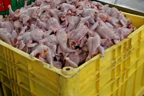 Carnea de pasăre confiscată în Bihor pentru că era contaminată cu Salmonella nu a ajuns pe rafturile magazinelor