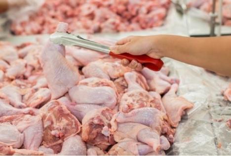Autocontrol cu rezultate: O tonă şi jumătate de carne de pui infestată cu Salmonella importată din Polonia, distrusă de o firmă din Oradea