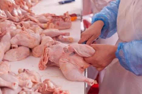 O tonă de carne de pasăre infectată cu Salmonella, confiscată de la o firmă din Bihor