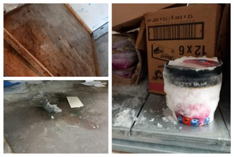 Rozătoare moarte şi mizerie: Un magazin Carrefour din Nojorid a fost închis şi amendat cu 18.000 de lei (FOTO)