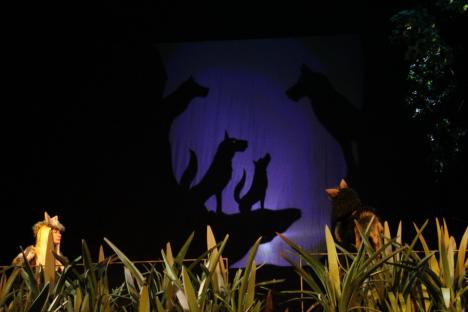 „Cartea Junglei”: Mowgli, Baloo și Bagheera vin pe scena Teatrului Regina Maria din Oradea (FOTO)