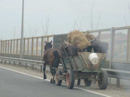 Atenţie, sirieni! Localnicii din Salonta s-au alertat după ce au văzut o căruţă cu mai mulţi tuciurii prin oraş