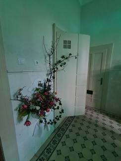 „Portal spre primăvară”: În Casa Darvas - La Roche au „răsărit” iriși, lalele, zambile și mușchi de pădure (FOTO/VIDEO)