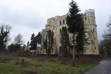Castelul Degenfeld din comuna Balc, vândut cu o sumă de peste 10 ori mai mare decât cea pe care o cerea proprietarul în urmă cu 3 ani