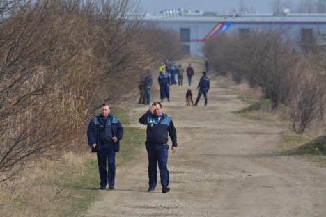 Acţiune de amploare: Poliţiştii au reluat căutarea suspectului Adrian Hladii pe câmpul de la marginea Oradiei (FOTO / VIDEO)
