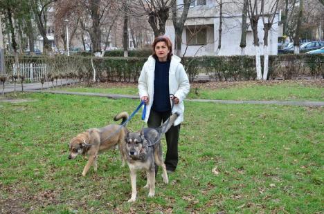 Voluntar pentru Grivei: Mirela Pamfil, unul din voluntarii veterani, vrea în continuare acces la adăpostul de câini