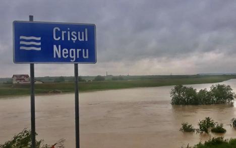 Risc de inundații pe Crișul Negru, în amonte de Beiuș