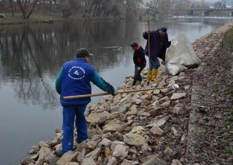 Vandalii din Oradea vor fi puşi la cărat pietre pentru construcţia promenadei de pe Criş (FOTO/VIDEO)
