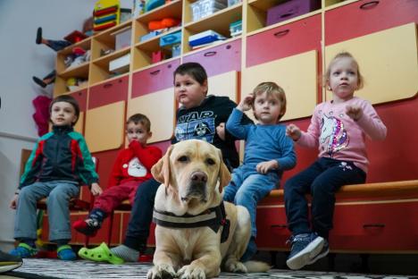 Profesorii blănoși: Copiii cu dizabilități de la un centru din Oradea beneficiază de doi terapeuți... cu lăbuțe (FOTO/VIDEO)