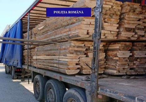 O firmă din Bihor a rămas fără 30 metri cubi de lemne. Amendă de 5.000 lei pentru proprietari