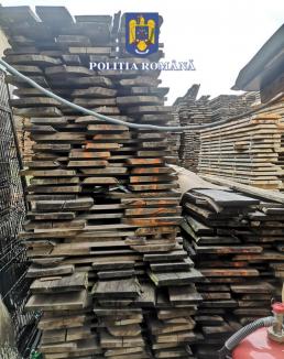Raid al polițiștilor de la Delicte Silvice din Bihor: Sute de metri cubi de lemne, comercializate „la negru” (FOTO)