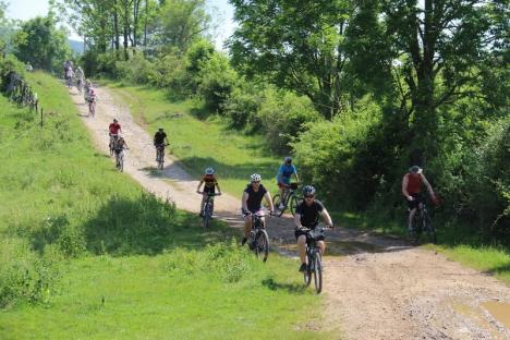 Hai la pedalat! În Pădurea Craiului au fost montate panouri cu hărţile traseelor de cicloturism (FOTO)