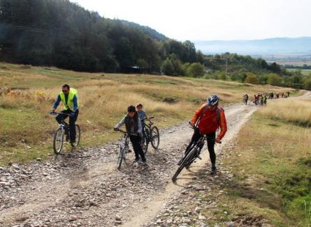 Proiect de 60.000 de dolari: Una dintre cele mai active organizații de mediu din Bihor va marca 300 km de trasee de cicloturism în Pădurea Craiului