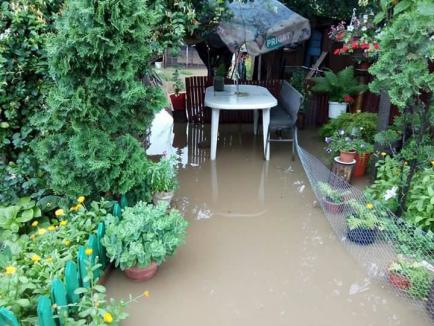 Ars cu apă: Pasajul din zona Ciheiului inundă periodic casa unei familii de orădeni (FOTO)