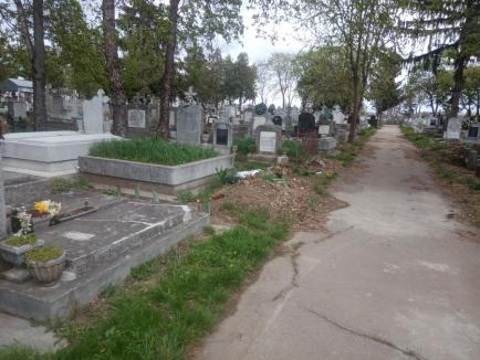Ne enervează: Orădenii reclamă buruienile și gunoaiele care cresc în voie în Cimitirul Municipal (FOTO)