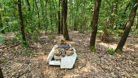 Cimitirul clandestin: Un cimitir pentru câini şi pisici, amenajat pe ascuns într-o pădure de lângă Oradea (FOTO)