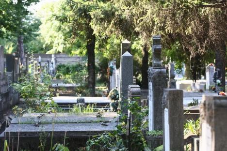 Inventarierea locurilor de veci din Cimitirul Municipal: Orădenii, aşteptaţi să-şi clarifice situaţia