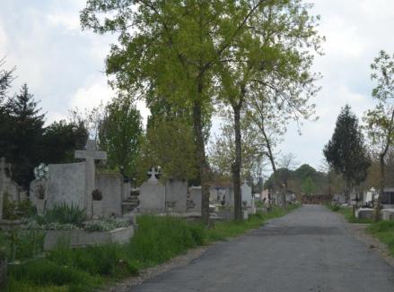 Căutaţi-vă morţii! ADP va scoate la licitaţie locurile de veci neglijate ori neplătite din Cimitirul Municipal