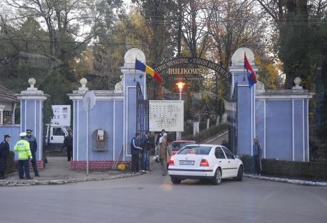 ADP Oradea a plantat 700 de puieţi de paltin la ZOO, Adăpostul Grivei şi Cimitirul Municipal