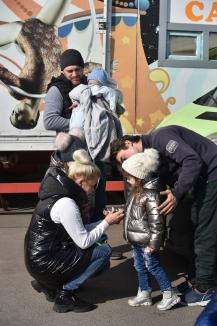 Drama circarilor care au ajuns la Oradea: animalele lor au rămas în Ucraina, riscând să moară de foame (FOTO / VIDEO)