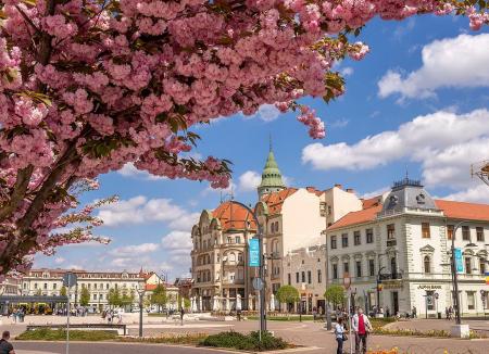 Experience Oradea: Orașul va oferi servicii digitale pentru turiști, create de voluntari