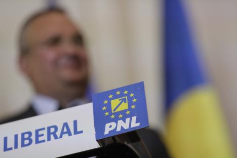 E oficial: Alegerile locale se comasează cu cele europarlamentare. PSD și PNL candidează pe liste comune la europarlamentare (FOTO/VIDEO)