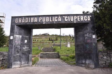 Ciupercă abandonată: Primăria Oradea rămâne cu paguba în urma alunecărilor de pe dealul Ciuperca