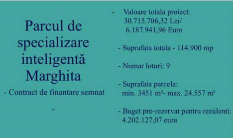 CJ Bihor: Au început lucrările la Parcul Industrial Marghita (FOTO)