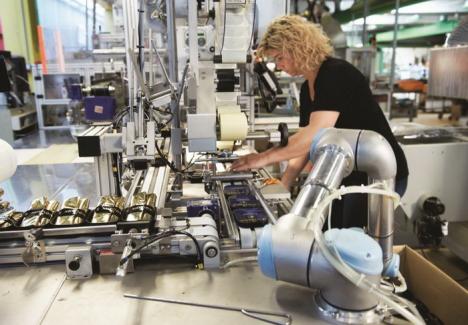 Roboții, soluția care ne ajută să ne păstrăm slujbele și să câștigăm mai bine: Cât de potriviți sunt pentru fabricile bihorene