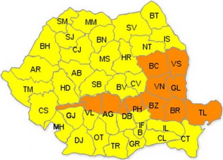 Cod galben de ploi însemnate cantitativ, inclusiv în Bihor
