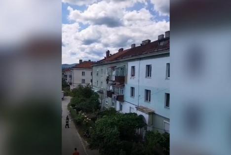 Căţeluş blocat pe acoperișul unui balcon în Ștei (VIDEO)