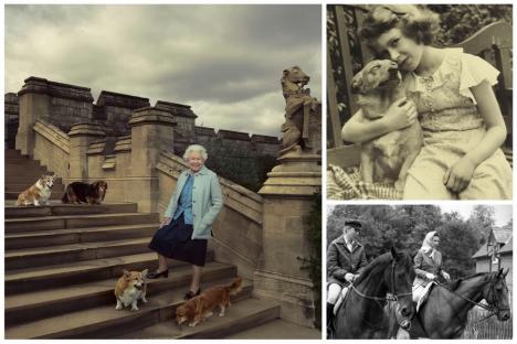 Imagini impresionante cu Regina Elisabeta a II-a, alături de animalele ei preferate: câinii Corgi şi caii de curse (FOTO/VIDEO)