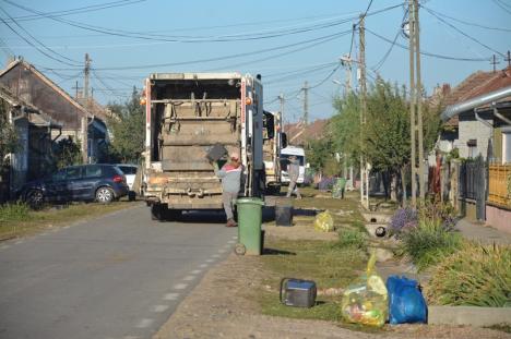 Sălacea-i „fruncea”! Locuitorii comunei Sălacea sunt singurii din Bihor care-şi aruncă deşeurile în 5 recipiente diferite (FOTO/VIDEO)