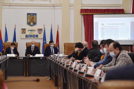 Pădurile din Bihor în 2021: De două ori mai multe lemne tăiate ilegal, găsite de Direcţia Silvică (FOTO)